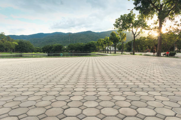 Best Local Driveway Pavers  in USA